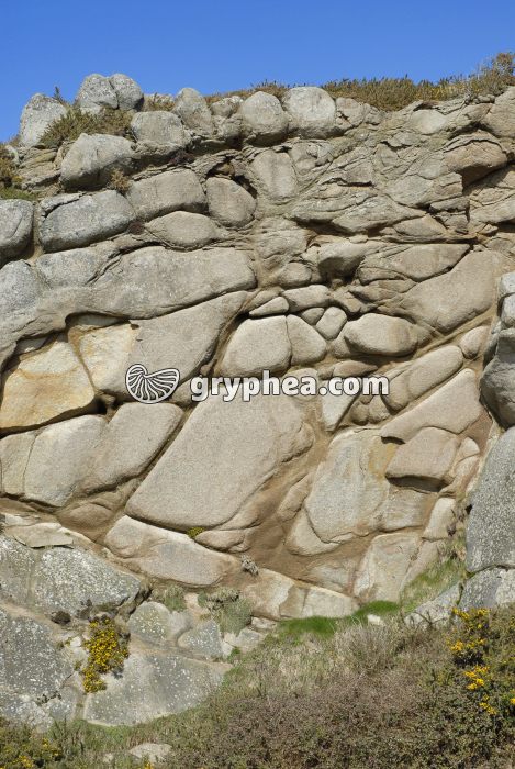 Carrière de granite (front de taille) - gryphea.org
